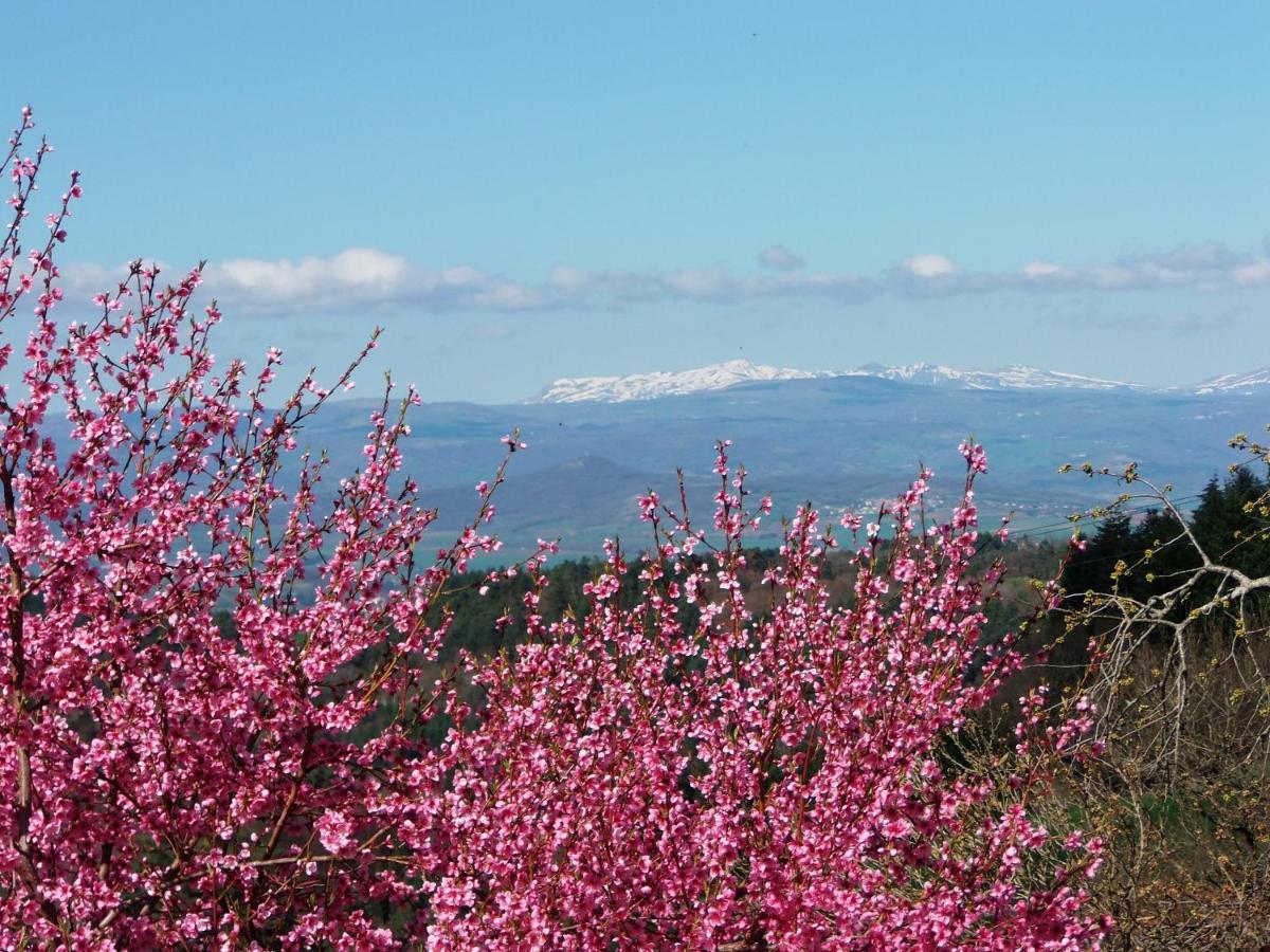 Le Vallon D'Armandine, Gite Ecologique Auvergne Saint-Hilaire  Exterior foto
